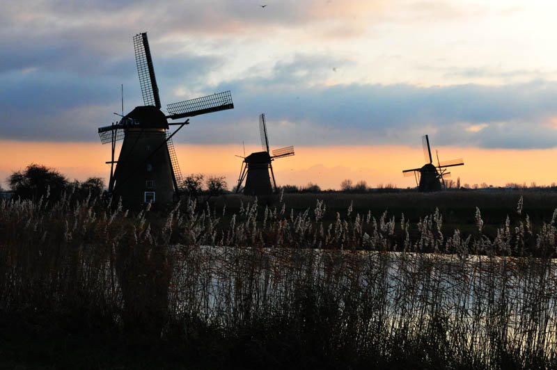 kinderdijk